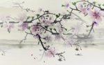 唯美