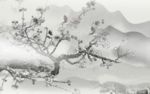 鸟语花鸟