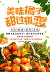 橘子 美味橘子
