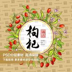靖远枸杞果插画