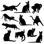 猫剪影猫插画