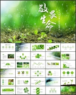 敬畏生命生长PPT
