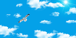 天空