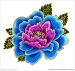 牡丹 牡丹花 牡丹素材 牡丹花