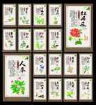 中药材