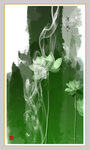 国画荷花