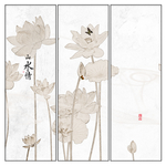 国画荷花