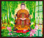 金花教主