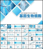 基因PPT
