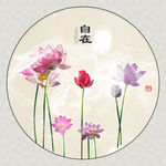 唯美荷花