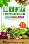 蔬菜 新鲜蔬菜