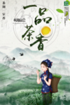 茶叶 采茶女 一品茶香