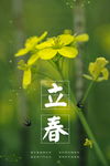 立春