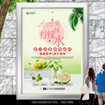 美味柠檬水海报灯箱展板展架单页