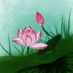 手绘荷花