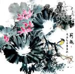 荷花