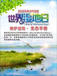 世界湿地日