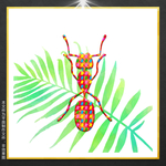 昆虫插画
