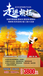 走进胡杨