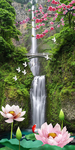 瀑布风景玄关画