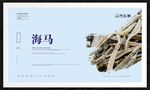 海马