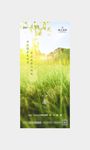 小暑