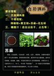 苏麻 串串调料