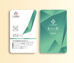 绿色极简名片