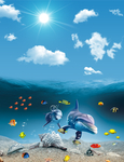 海底世界