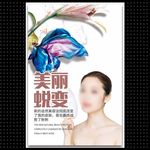 美容