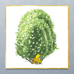 现代画