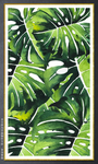 阔叶植物