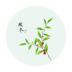 酸枣
