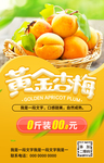 黄金杏梅海报
