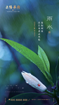 雨水 雨水海报 雨水节气 节气