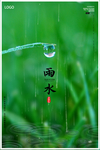 雨水