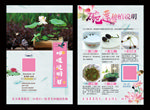 碗莲种植说明海报多肉种植