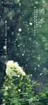 雨水