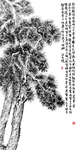 松树字画