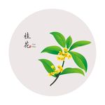 桂花