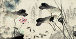 水墨画荷花