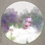 荷花无框画