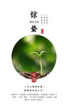 商务简洁惊蛰节气海报