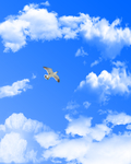 天空