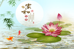 荷花 莲花