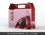 樱桃礼盒包装设计模板