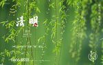 清明 春天