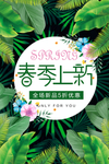 春季上新