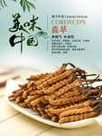 虫草海报