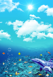 海底世界